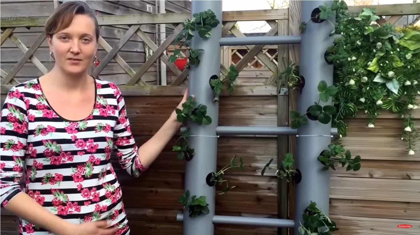 PVC Pipe Tower Garden