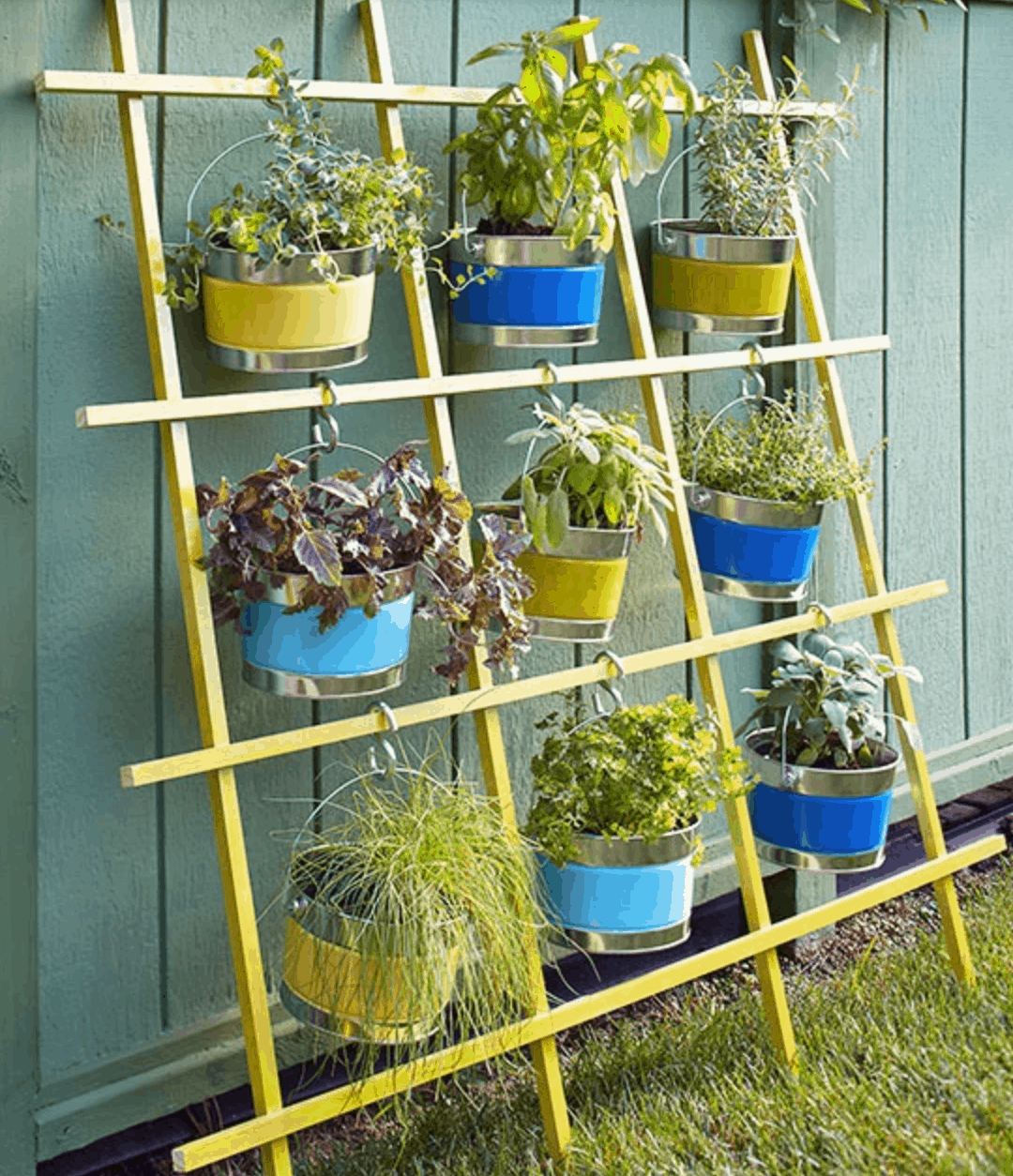Hanging Plant Trellis