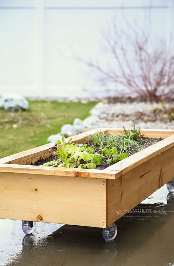 Rolling Planter