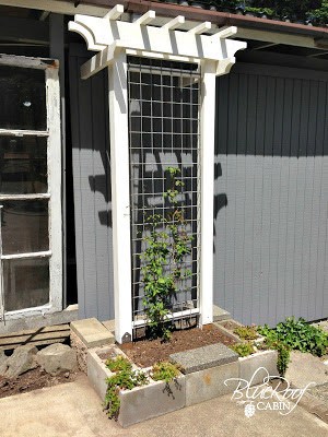 Pergola Inspired