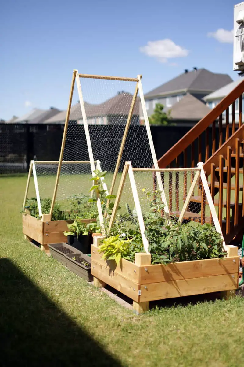 Garden Bed Roof 