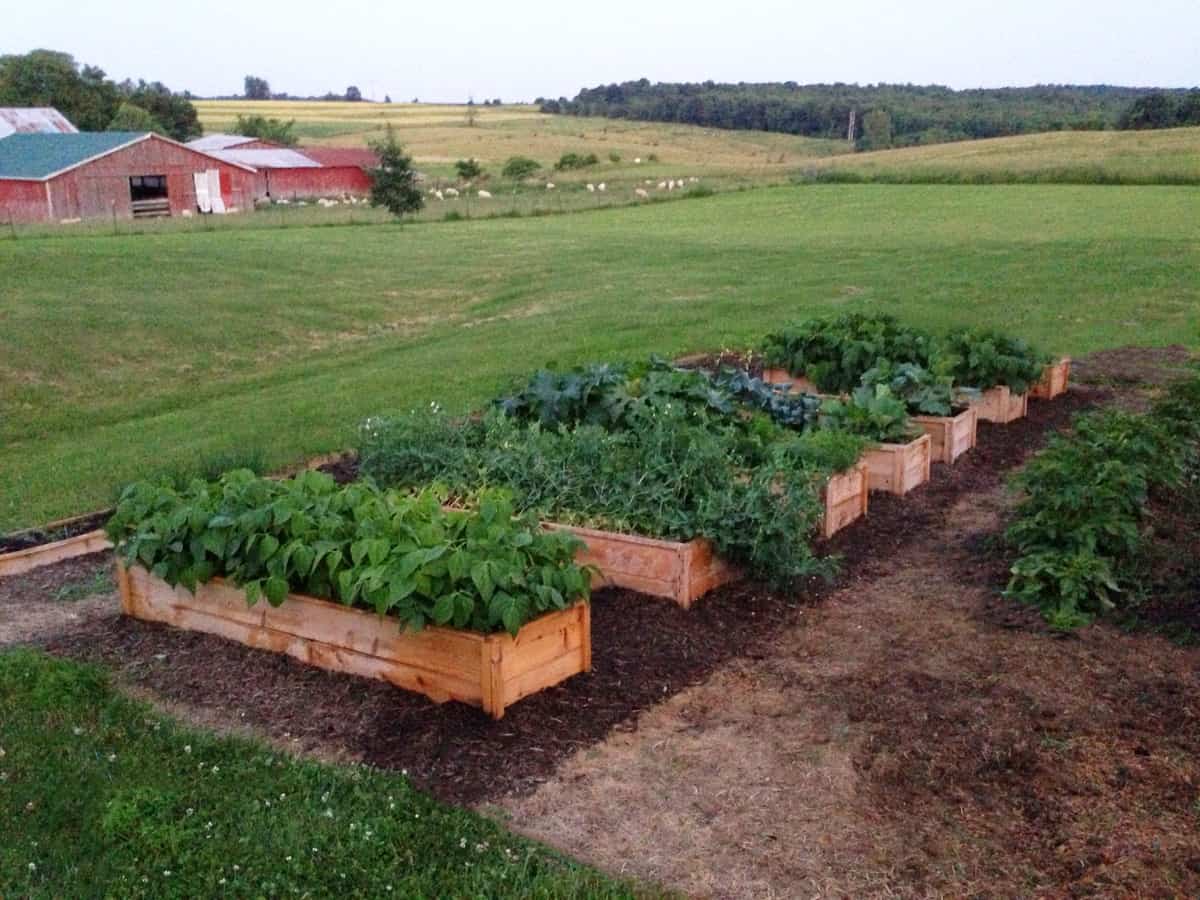 Fence Picket Garden Bed