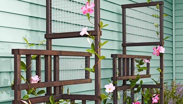 Freestanding Flower Trellis 