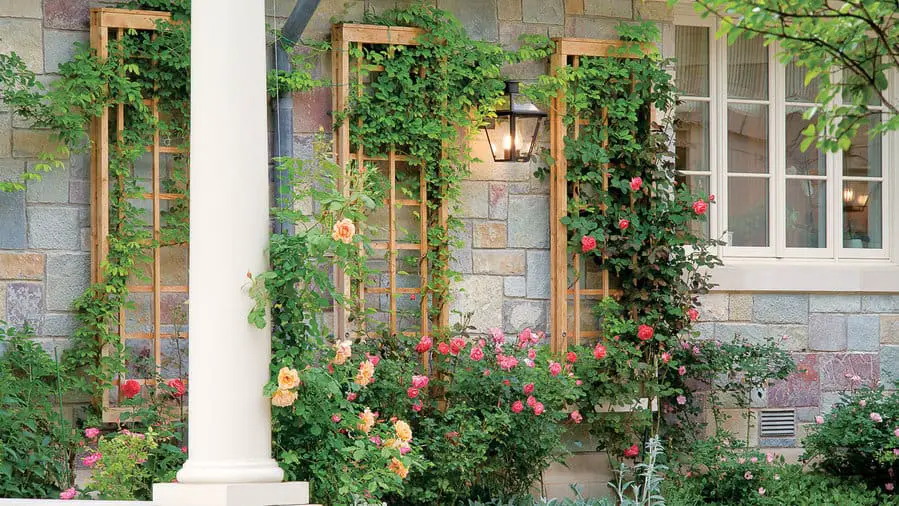 Trellis Panels 