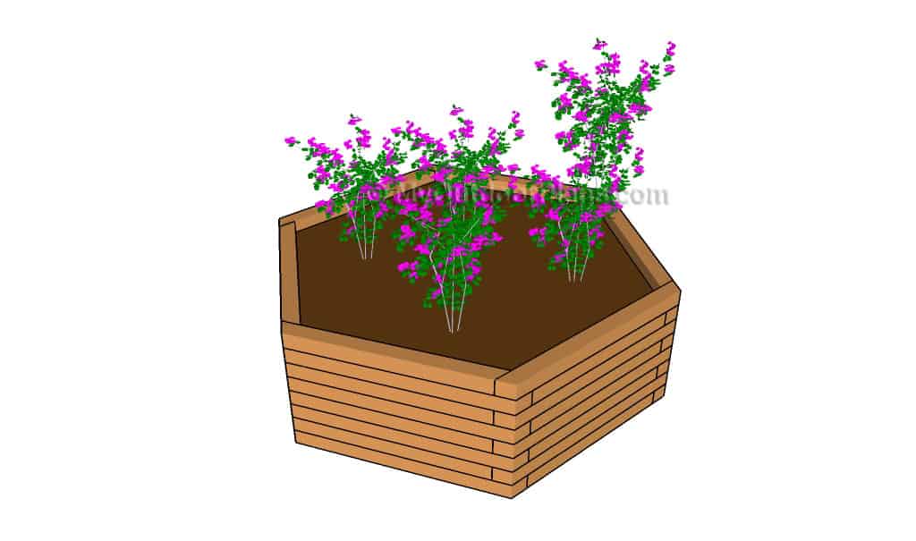 Hexagon Planter Plans