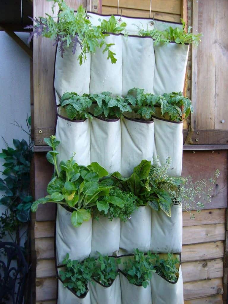 Upcycled Back-of-Door Show Storage Garden