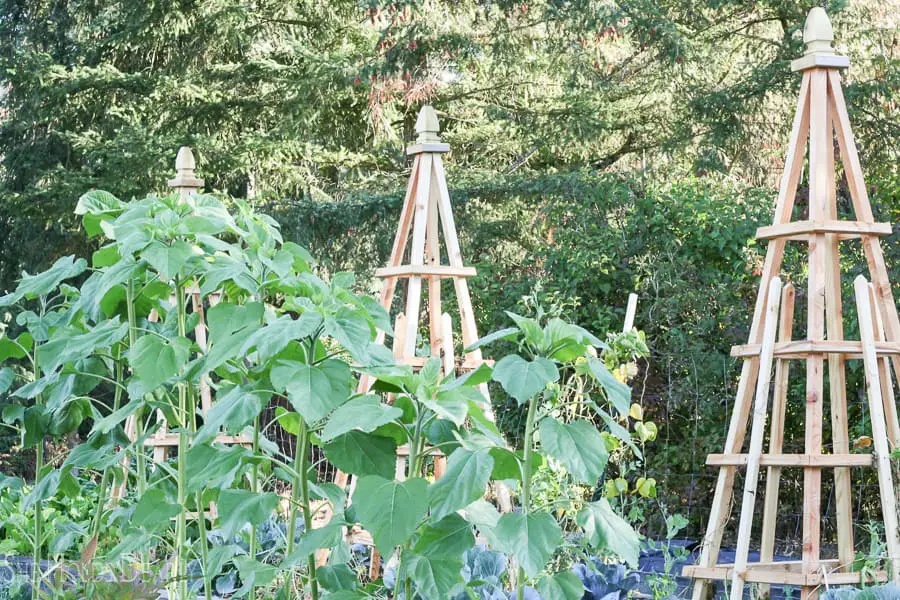 Decorative Towers