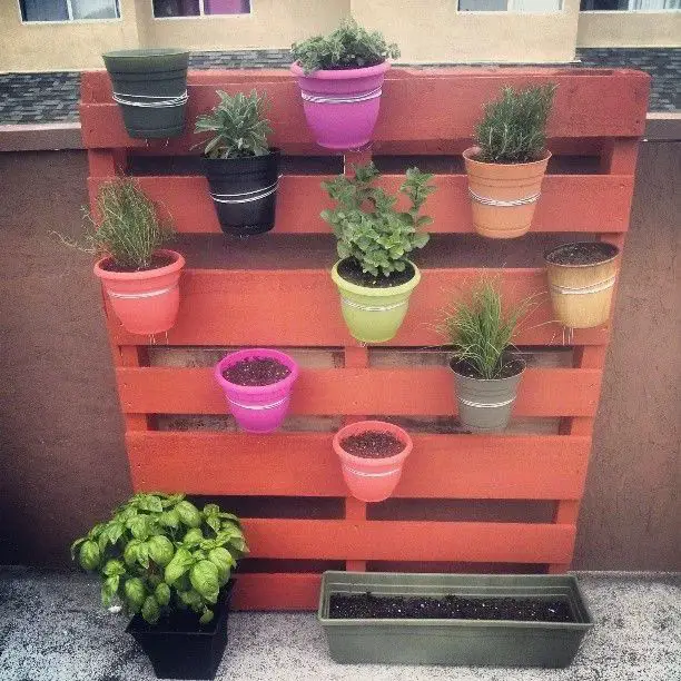 Potted Pallet Garden