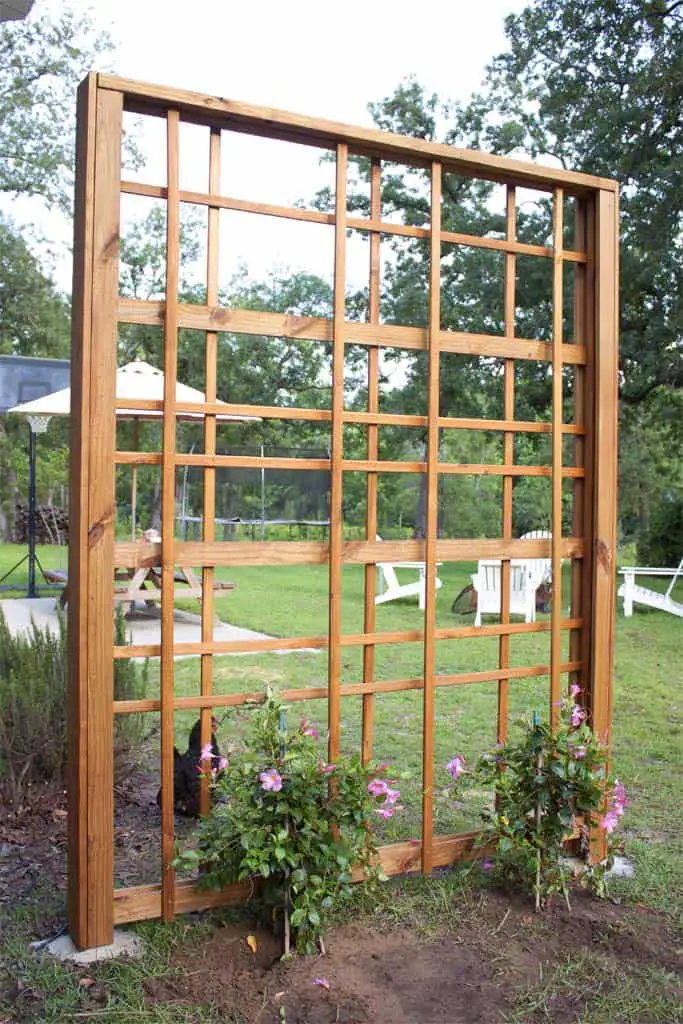 35 DIY Trellis Ideas To Spruce Up Your Garden