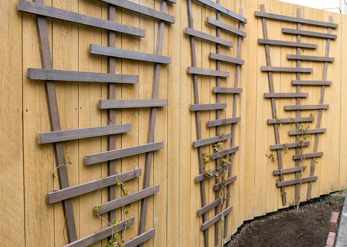 Easy Modern Trellis
