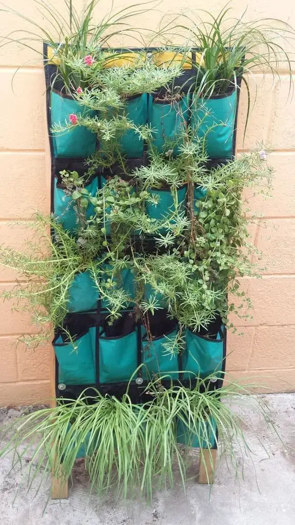 Wood-Frame Upcycled Back-of-Door Shoe Hanger Vertical Garden