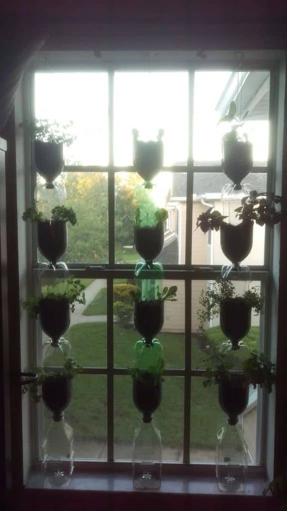 Recycled Bottle Vertical Window Garden