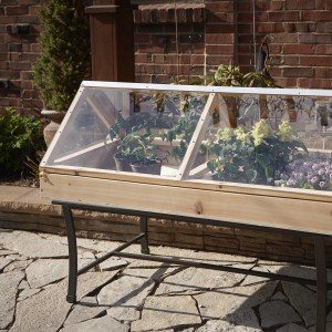 Tabletop Greenhouse