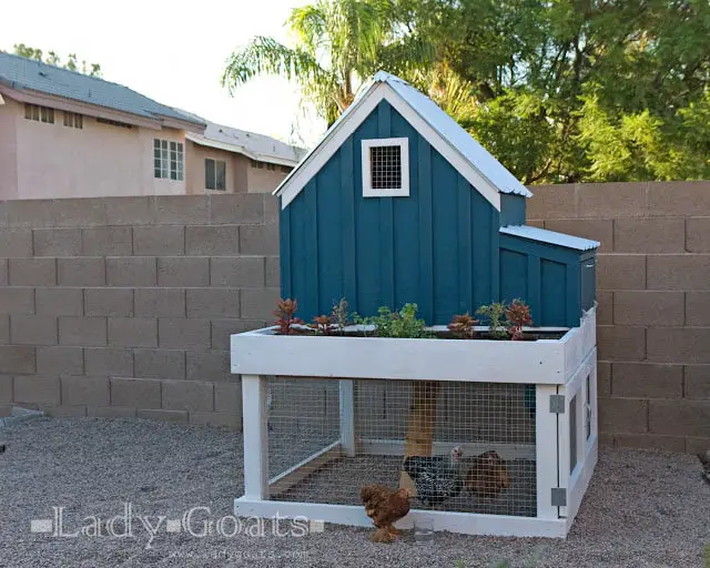 Chicken Coup Planter