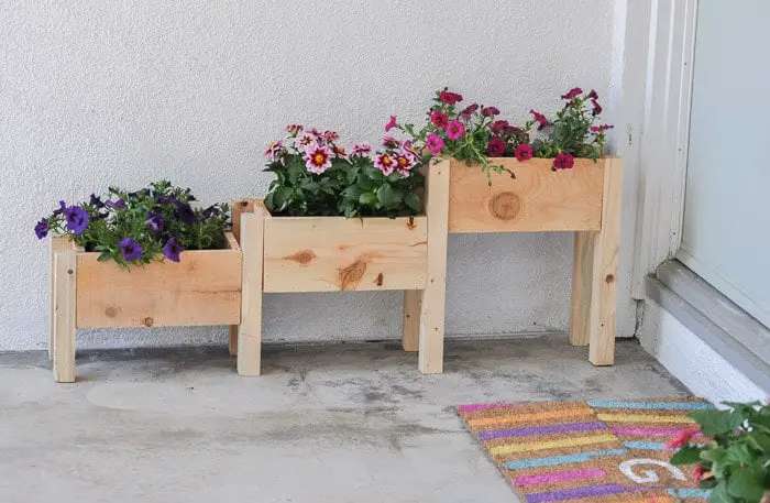 Tiered Row Planter