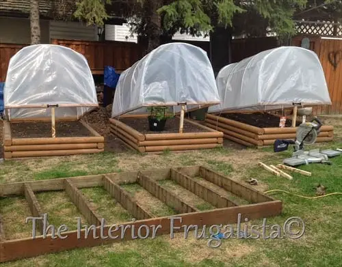 Raised Bed Cold Case