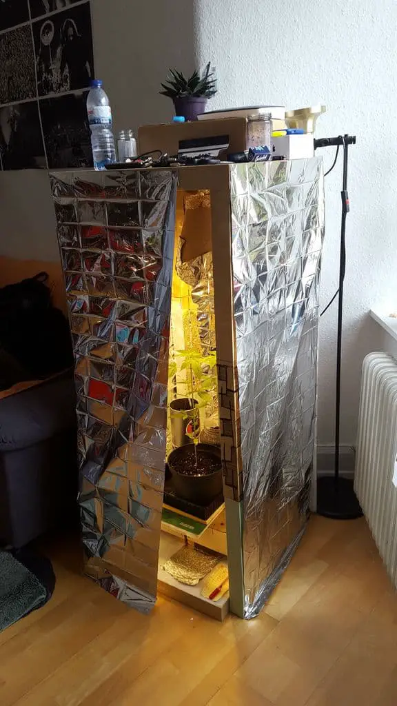Inexpensive Indoor Greenhouse