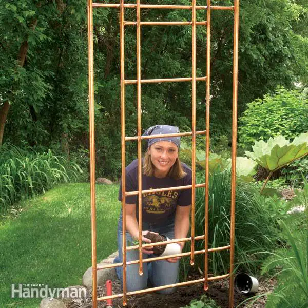 Upright Copper Trellis
