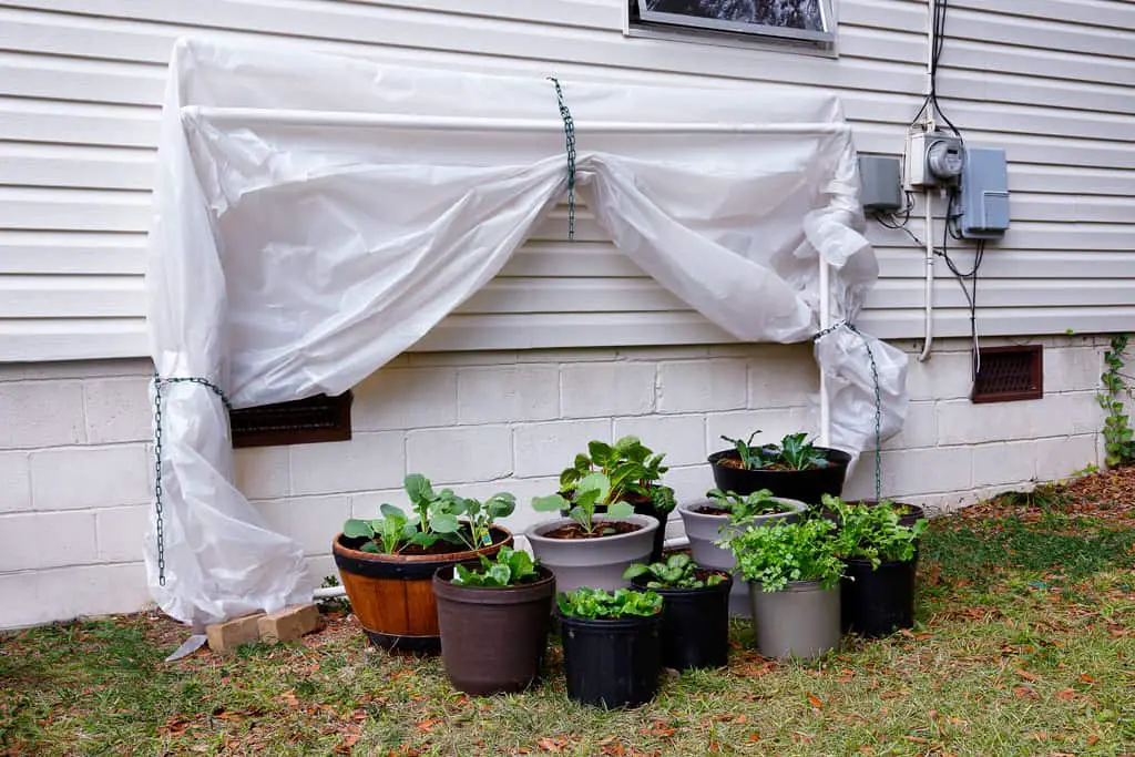 Fold-Down For Small Spaces