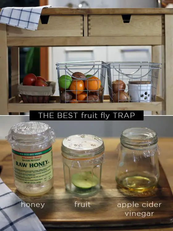 How To Make Fruit Fly Traps  Homemade Natural Recipes 