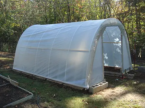 Cheap Greenhouse