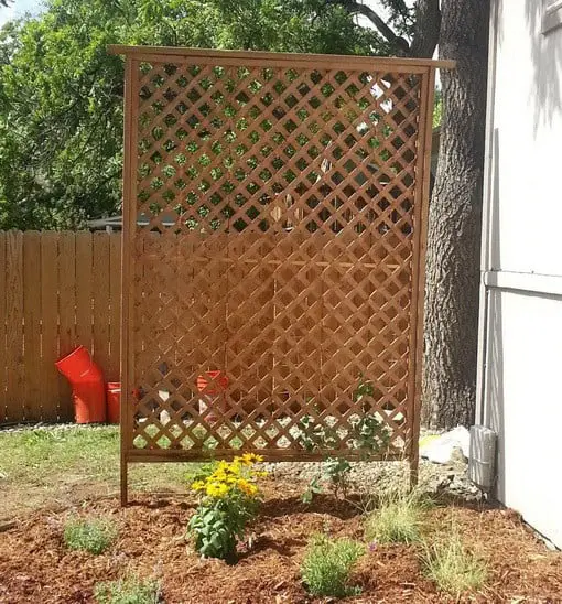 Basic Cedar