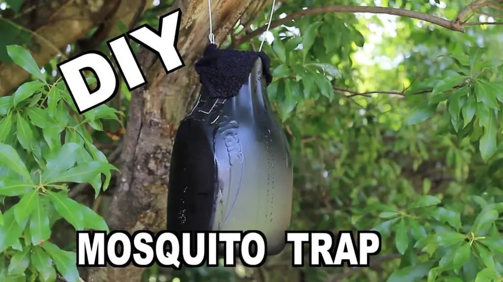 The $1 Mosquito Bag Fan Trap